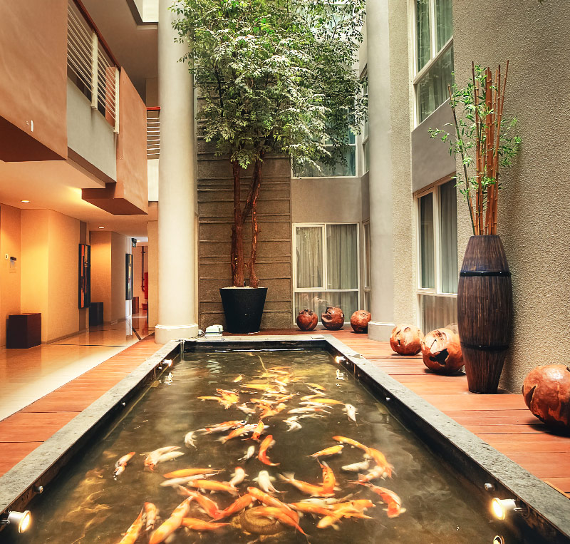 Avissa Suites